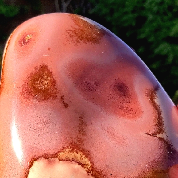 Stunning Rare Daliesque Polychrome Jasper Free Form - Picture 7 of 13